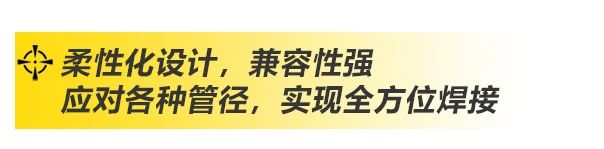 上A黄金甲