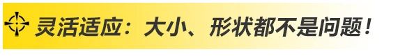 上A黄金甲